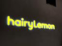 hairyLemon Digital Agency New Zealand logo